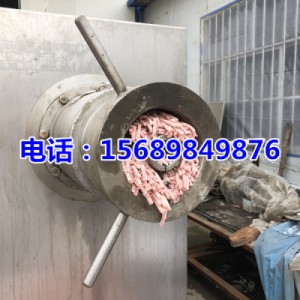 大型凍肉絞肉機(jī)，250型凍肉絞肉機(jī)，凍肉絞肉機(jī)大圖片