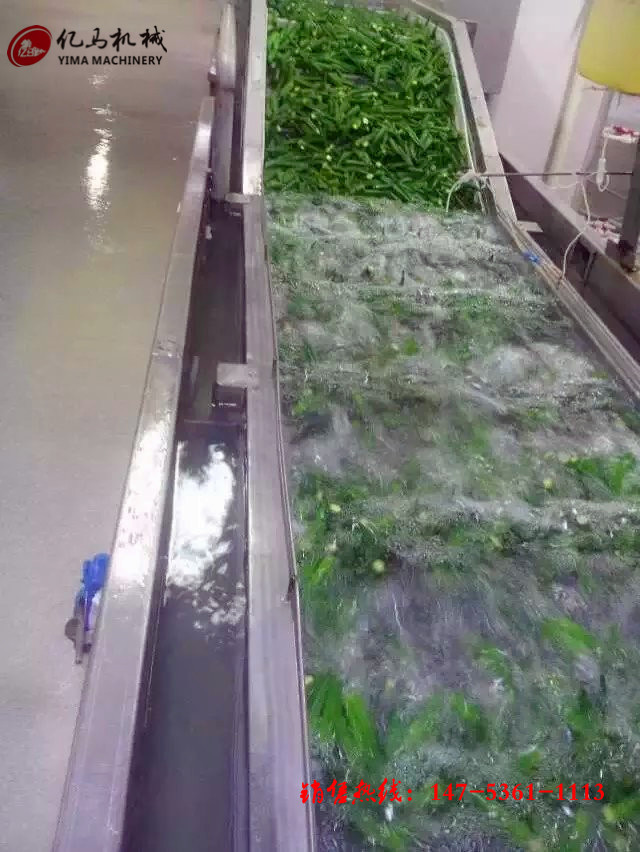 鼓泡氣泡清洗機 醬菜脫鹽清洗機 商用洗菜機全自動果蔬清洗機