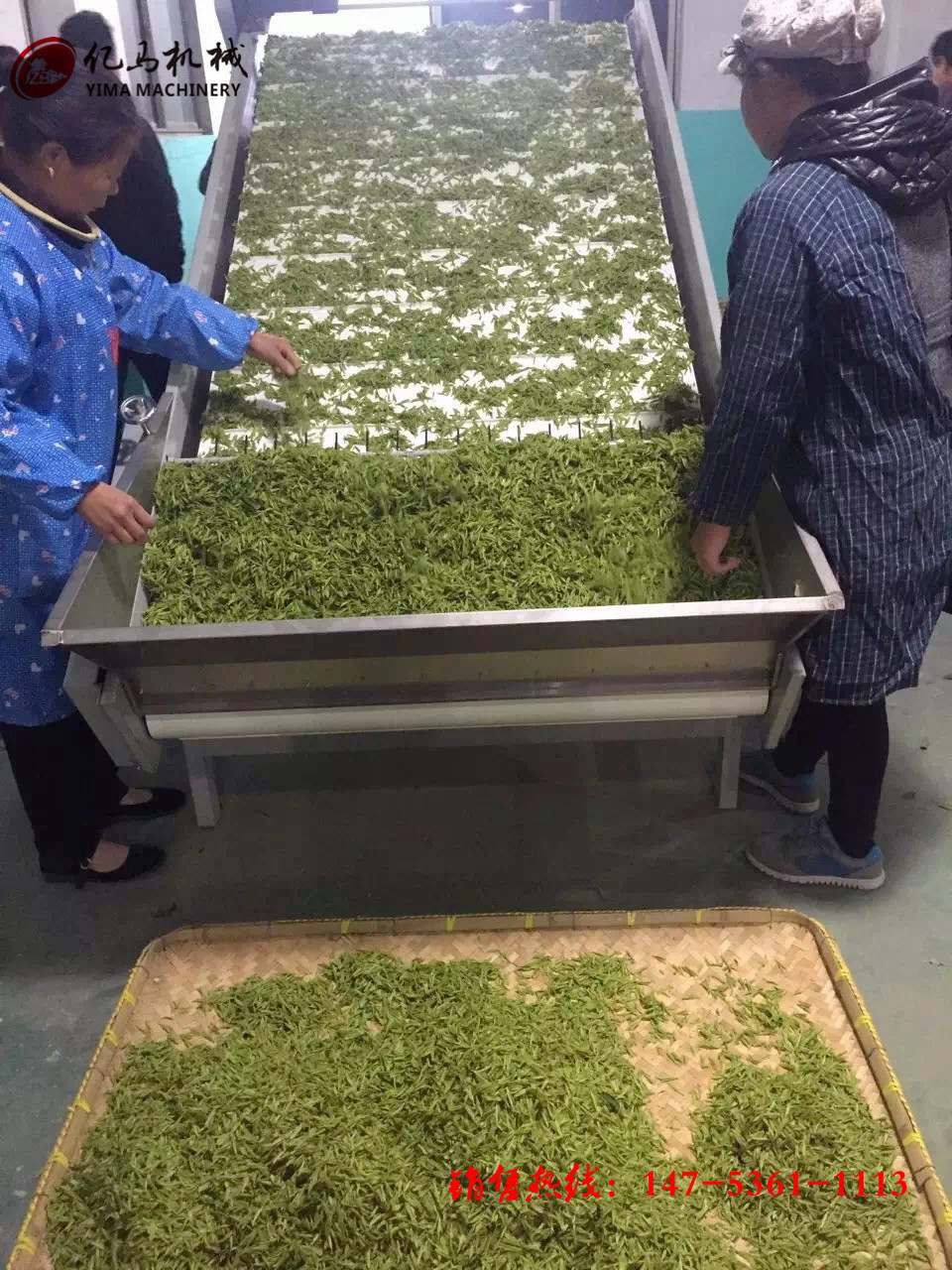 鼓泡氣泡清洗機 醬菜脫鹽清洗機 商用洗菜機全自動果蔬清洗機