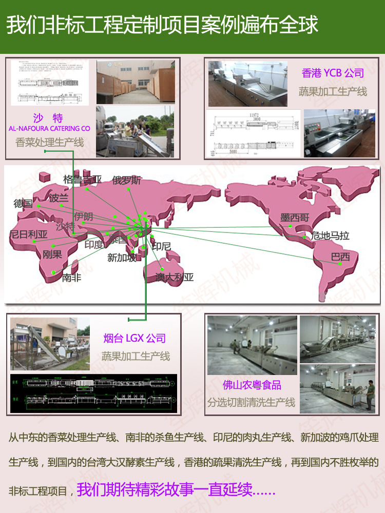 商用各季節(jié)大型蔬菜水果清洗機(jī) 蔬菜大棗清洗機(jī) 果蔬青菜類洗菜機(jī)