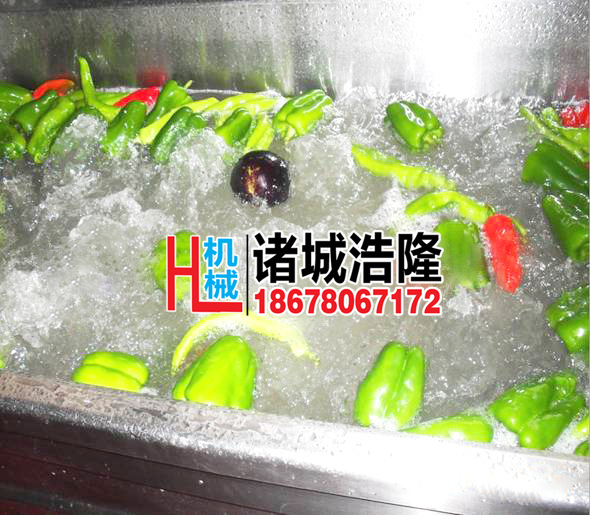 果蔬清洗機 酒店自動輸送蔬菜清洗機 商用超聲波洗菜機