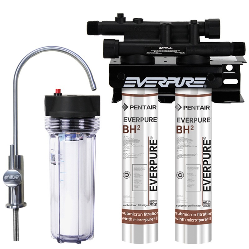 美國進口愛惠浦（Everpure）BH2 雙聯凈水器 過濾系統 商用