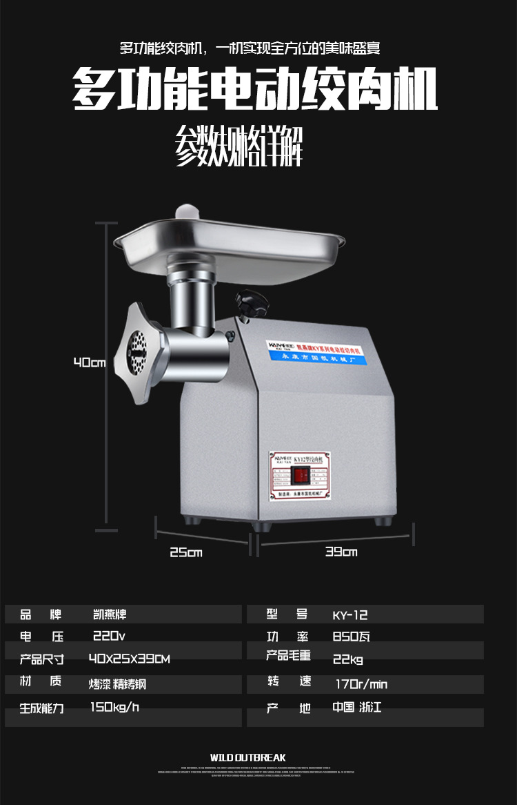 凱燕牌12型絞肉機家用商用電動多功能碎肉機超強動力