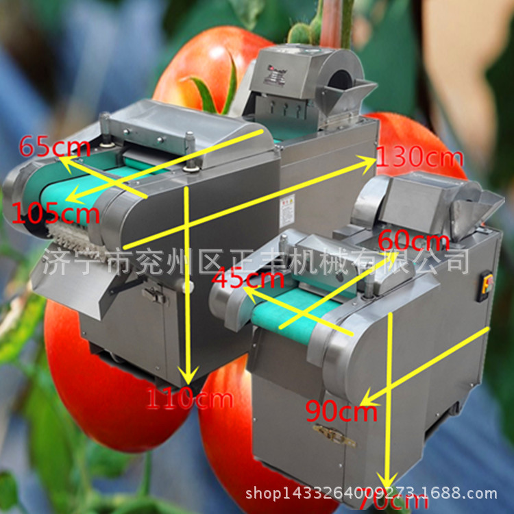 全自動商用加工蔬菜機 瓜果切丁切塊機 土豆蘿卜切絲機 厚薄均勻