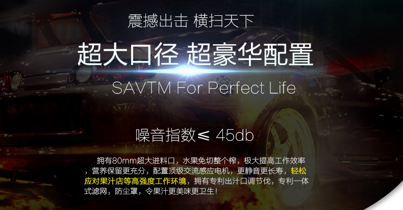 SAVTM/獅威特商用大口徑多功能榨汁機 攪拌果汁機低速原汁機批發