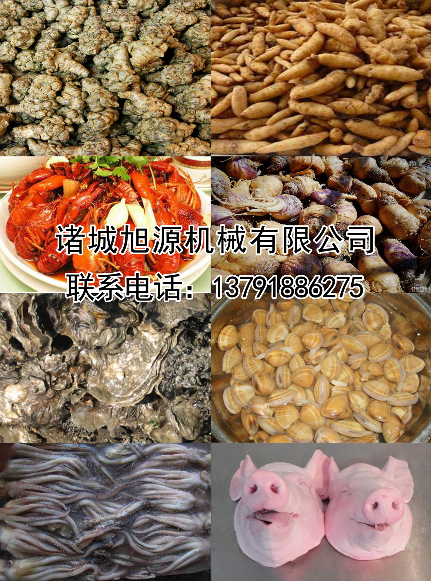 全自動香腸臘腸煙熏爐 不銹鋼肉食煙熏爐 商用節能燒雞煙熏爐