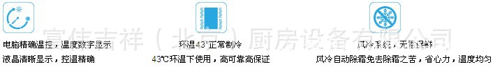 海爾四門雙溫冰箱SL-980C2D2W 海爾冰箱冷柜 商用廚房冷柜