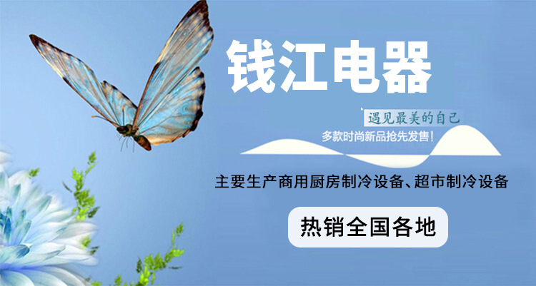 錢江四門廚房冰柜 雙溫商用全不銹鋼冰箱 冷藏冷凍立式冷柜批發(fā)