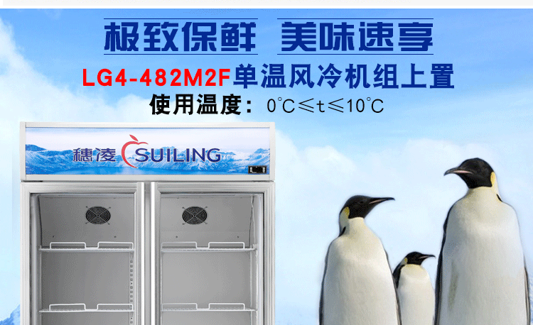 穗凌LG4-482M2F 展示冰柜商用雙門立式風(fēng)冷冷藏保鮮柜玻璃飲料柜