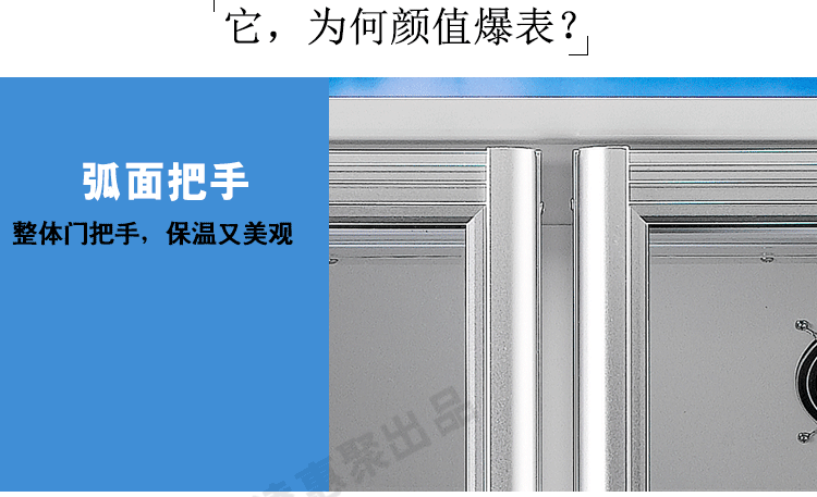 穗凌LG4-482M2F 展示冰柜商用雙門立式風(fēng)冷冷藏保鮮柜玻璃飲料柜