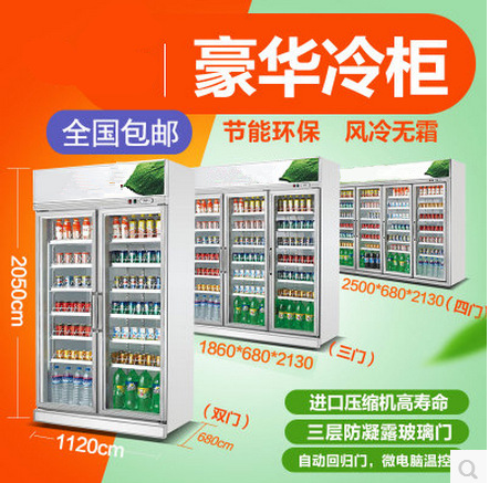 廠家直銷冰柜批發(fā) 立式雙門商用冰箱便利店展示柜超市飲料陳列柜