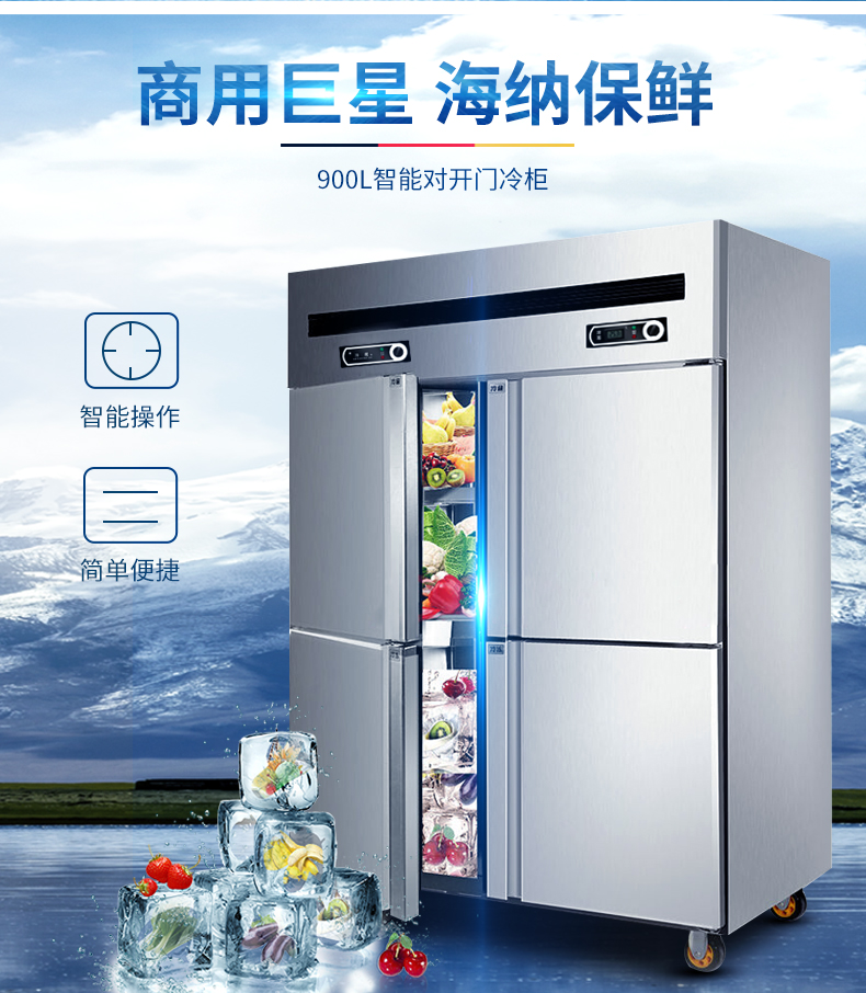 德瑪仕商用立式六門冰柜商用六門立式 展示柜 -KCD1.6L6 全冷凍