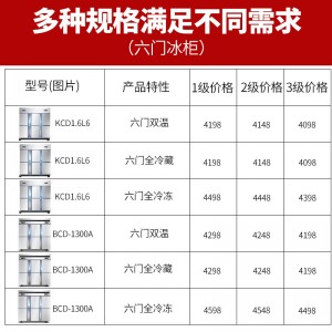 德瑪仕商用立式六門冰柜商用六門立式 展示柜 -KCD1.6L6 全冷凍