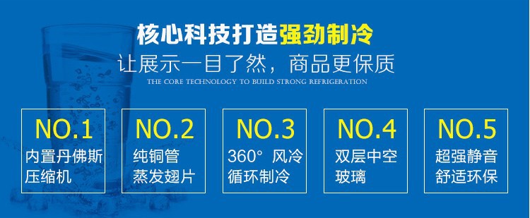 新品分體平頭兩門展示冰柜立式飲料柜 超市冷柜水果便利店保鮮柜