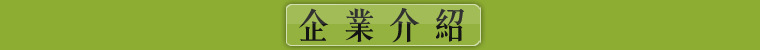 廠家直銷不銹鋼烤魚爐木炭酒精通風烤魚爐商用諸葛燒烤爐魚盤套裝