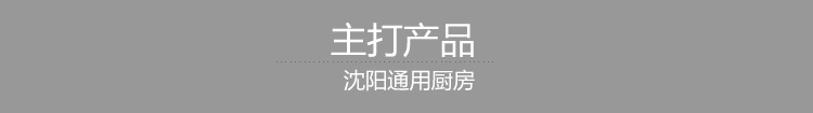 雙炒單尾 炒爐雙頭猛火灶商用炒爐燃氣 沈陽廚房設備定制廠家