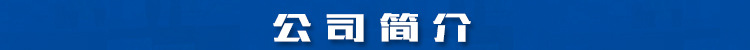 1公司簡(jiǎn)介